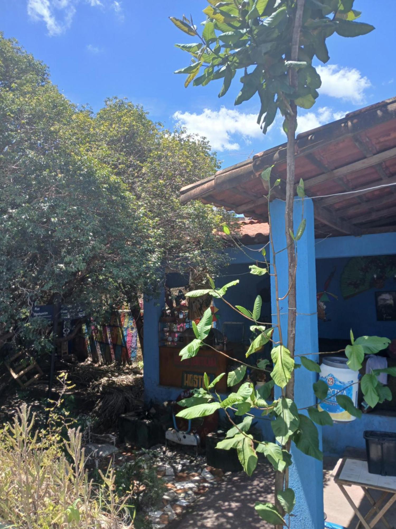 Hospedagem jabuticaba Belo Horizonte Bagian luar foto
